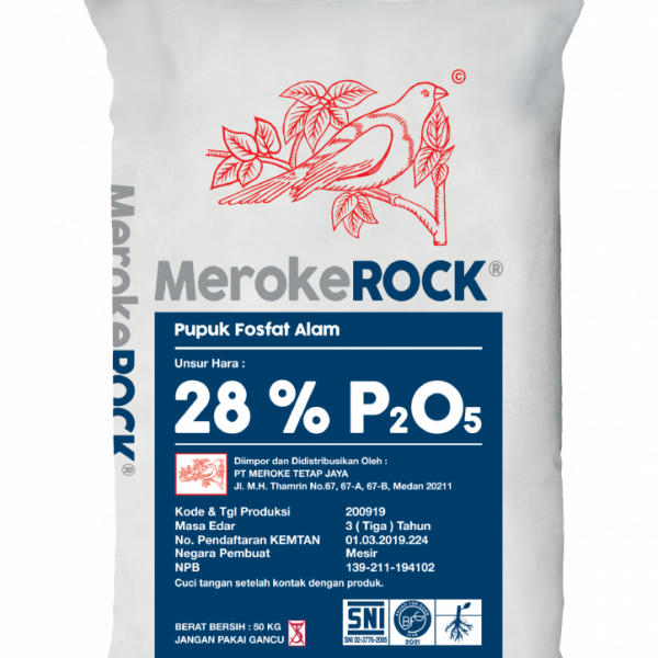 MerokeROCK