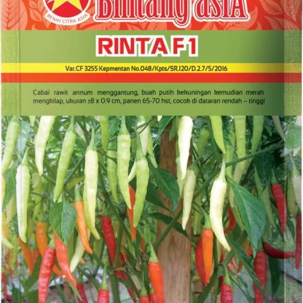 RINTA F1