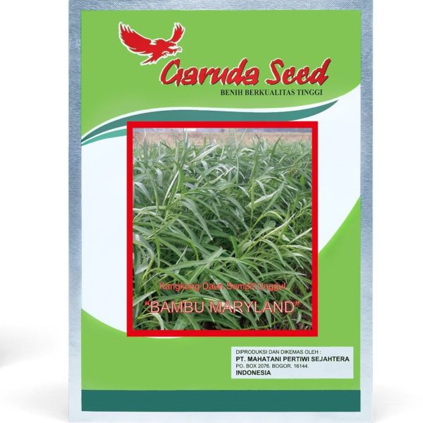 Benih Kangkung Daun Sempit "Maryland"