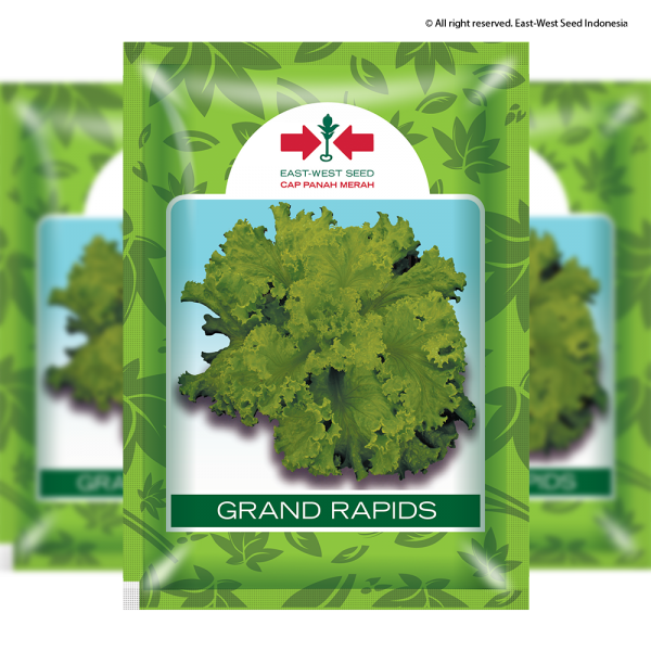 Grand Rapids (Selada)