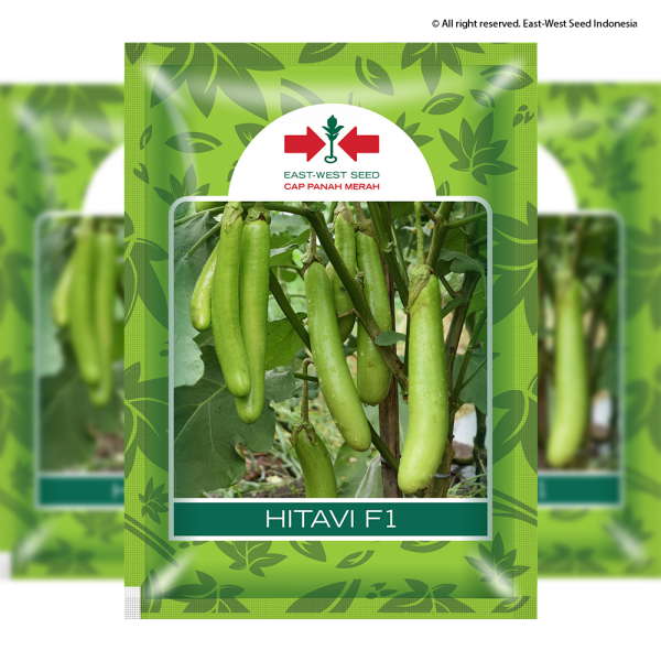 Hitavi F1 (Terong)