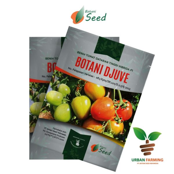 Benih Tomat "Botani Djuve" Urban Farming Isi 143 Butir
