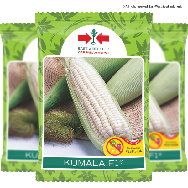 Kumala F1 (Jagung)