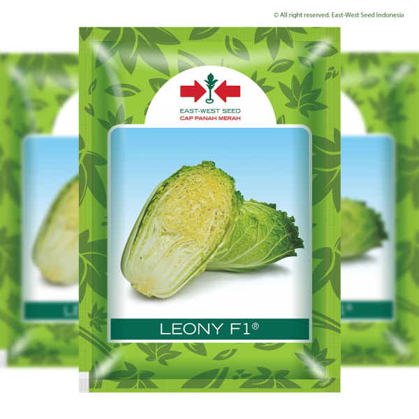 Leony F1 (Sawi)
