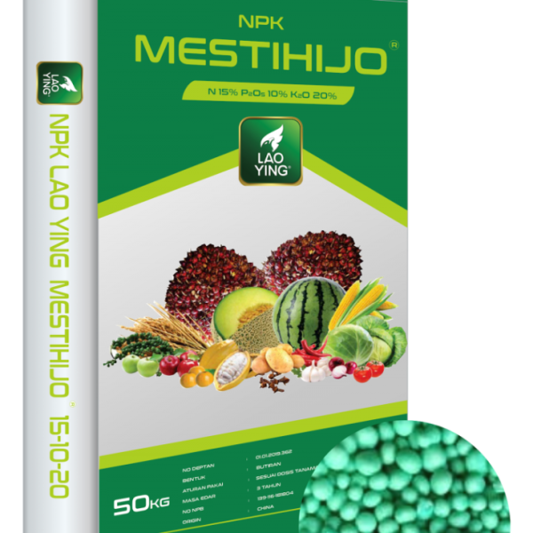 MESTIHIJO 15/10/20