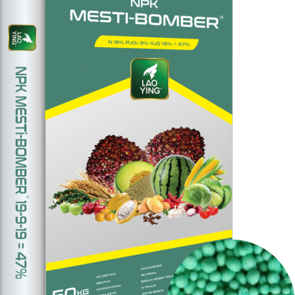MESTI-BOMBER 19/9/19
