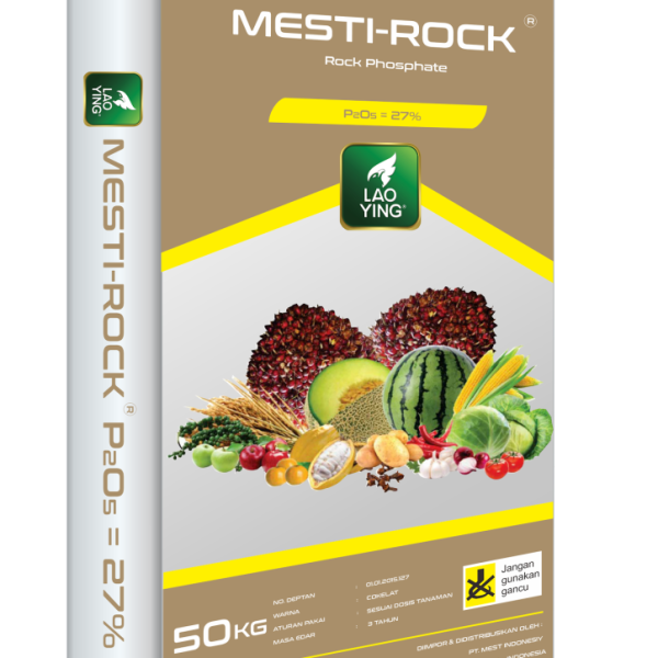 MESTI-ROCK