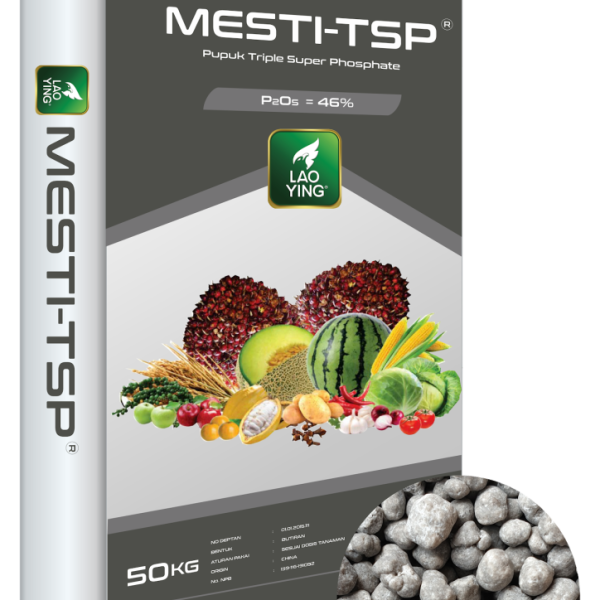 MESTI-TSP