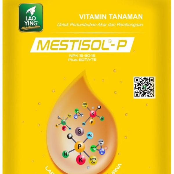 MESTISOL - P