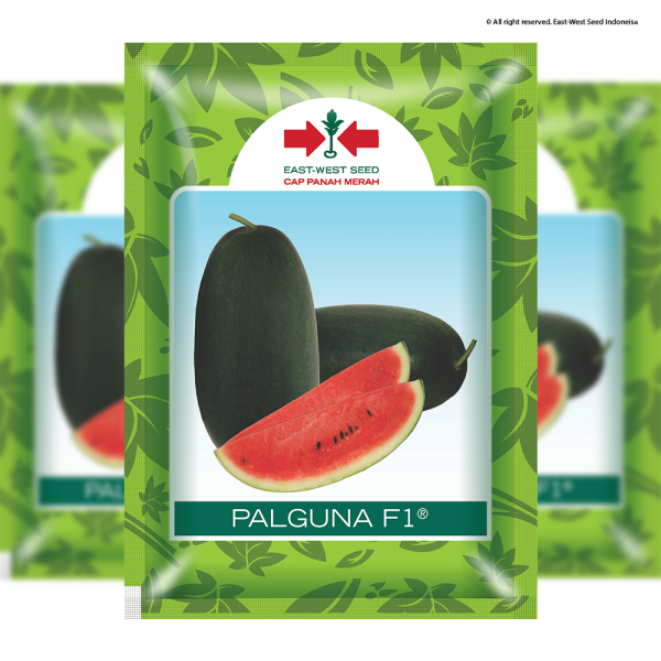 Palguna F1 (Semangka)