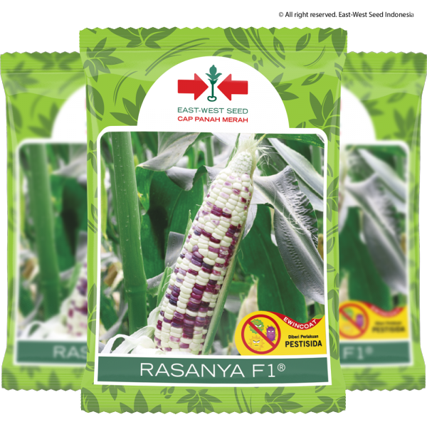 Rasanya F1 (Jagung)
