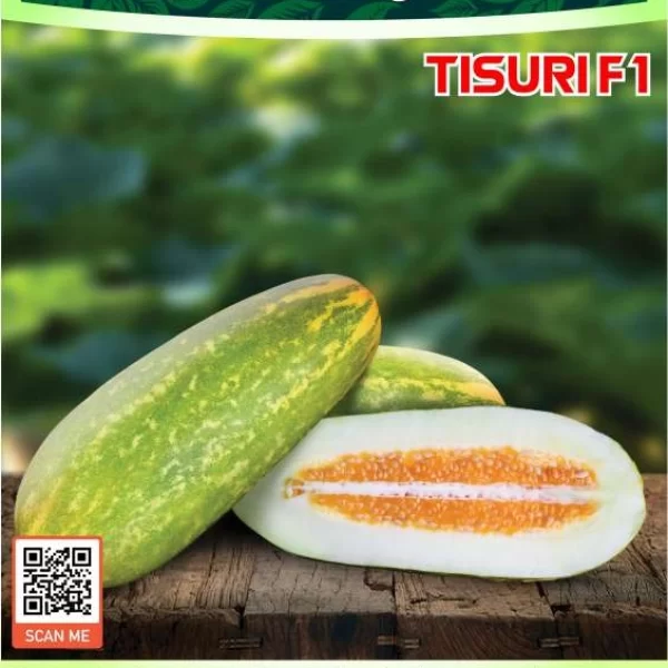 TISURI F1
