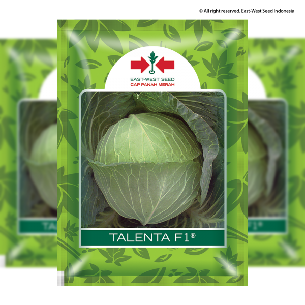 Talenta F1 (Kubis)