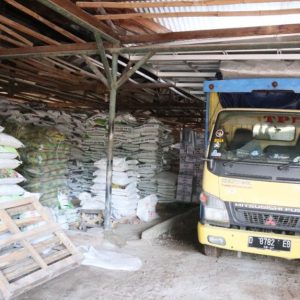 WhatsApp Image 2022-12-05 at 8.02.54 AM