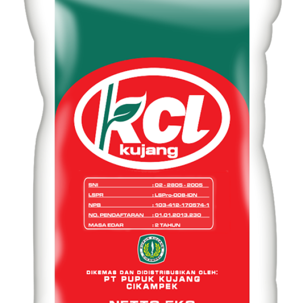 KCL KUJANG