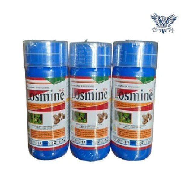 Losmine