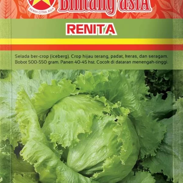 RENITA