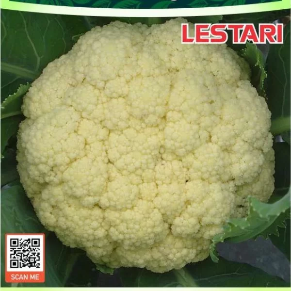 LESTARI