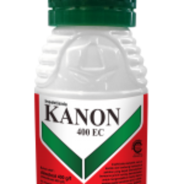 Kanon RX 100 EC