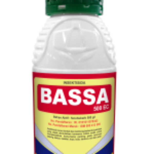 Bassa 500 EC