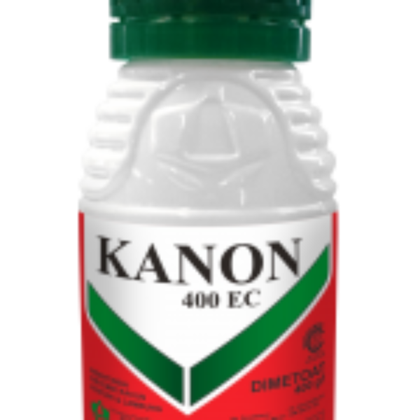 Kanon 400 EC