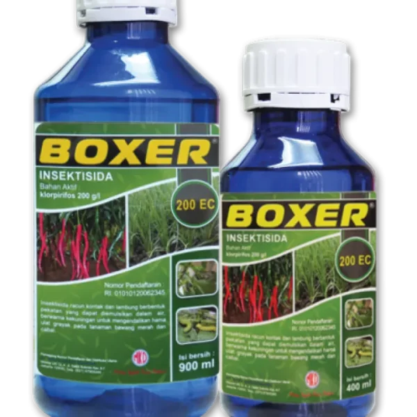 BOXER 200 EC