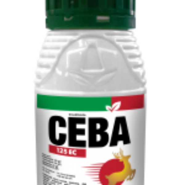 Ceba 125 EC