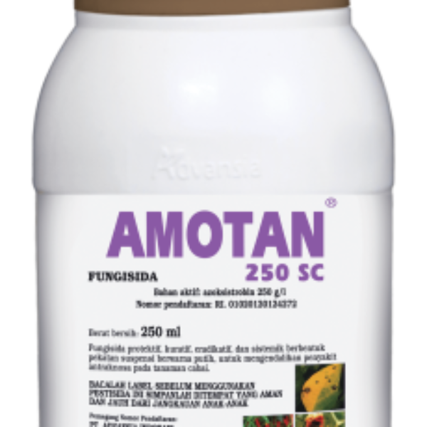 AMOTAN 250 SC