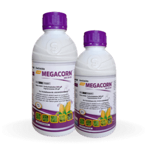 Sagri Megacorn