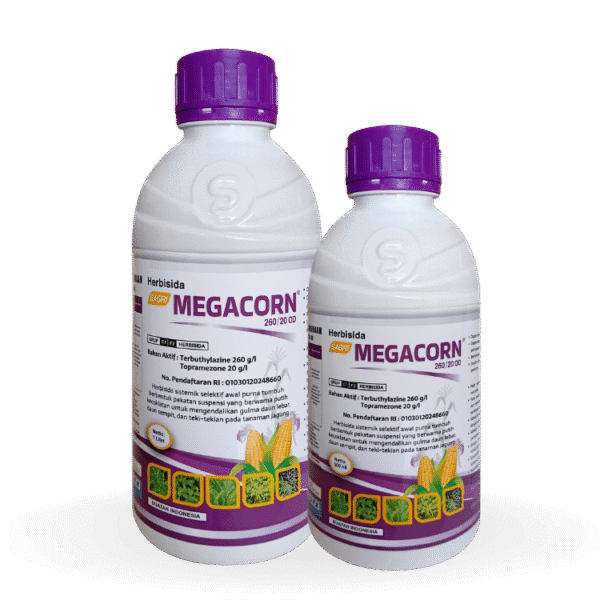 Sagri Megacorn
