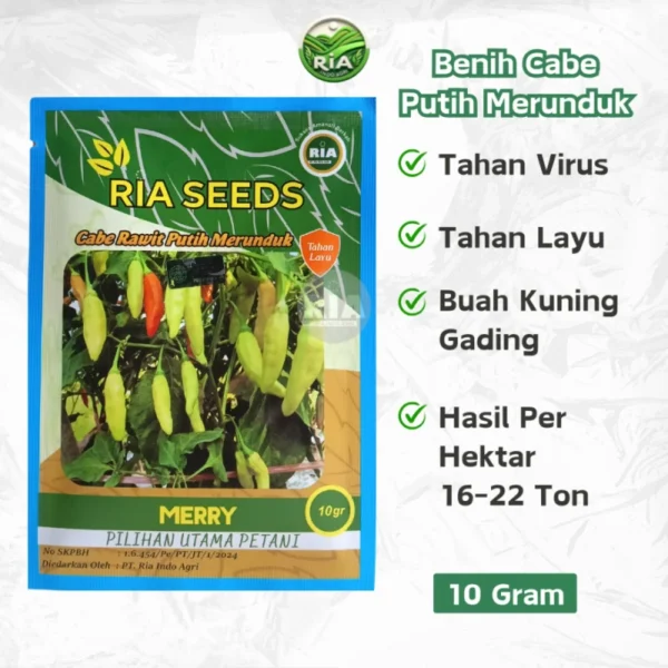 Benih Cabe Rawit Putih Merunduk Merry 10 Gram