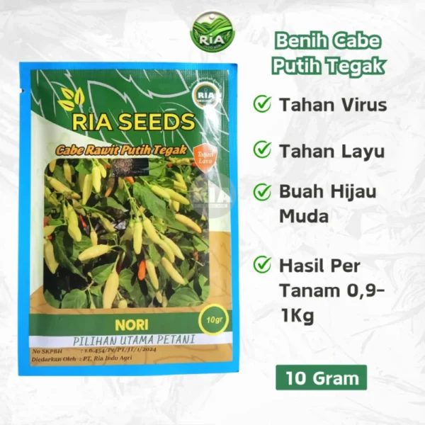 Benih Cabe Rawit Putih Tegak Nori 10 Gram Asli