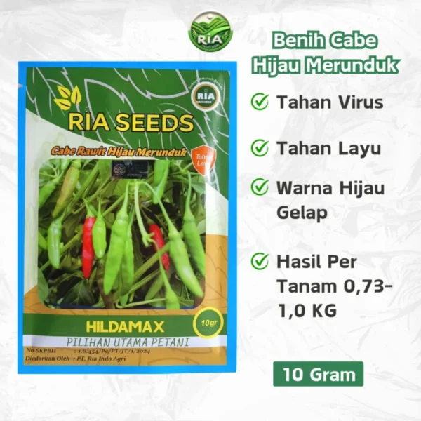 Benih Cabe Rawit Hijau Merunduk Hildamax 10