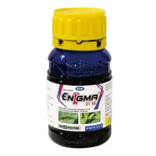 Enigma 21 Ec