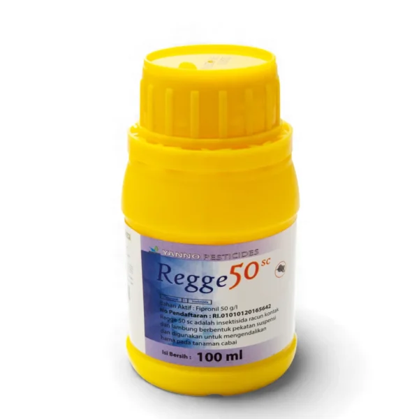 Regge 50 SC