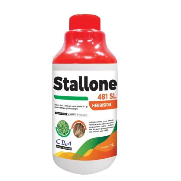 STALLONE 481 SL