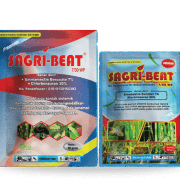 Sagri Beat