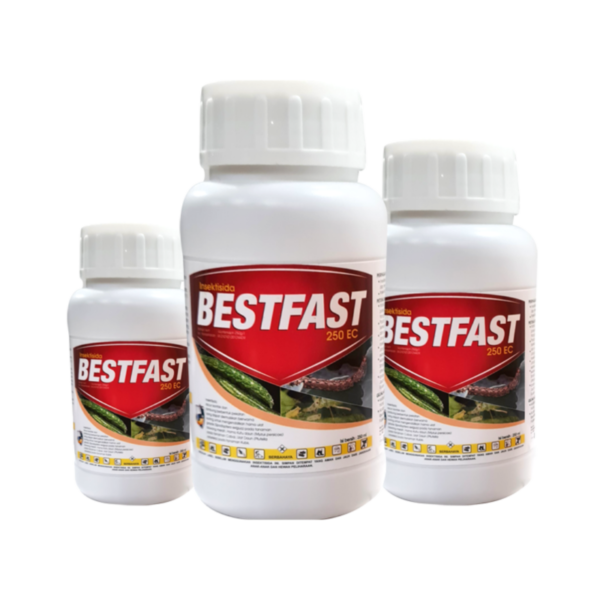 Bestfast 250 EC