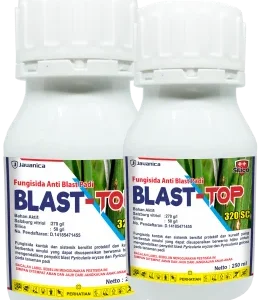 BLAST-TOP