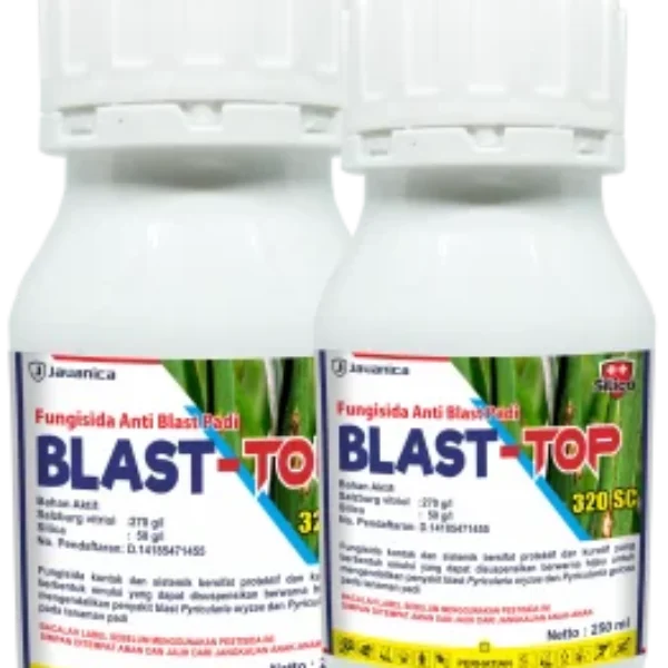 BLAST-TOP