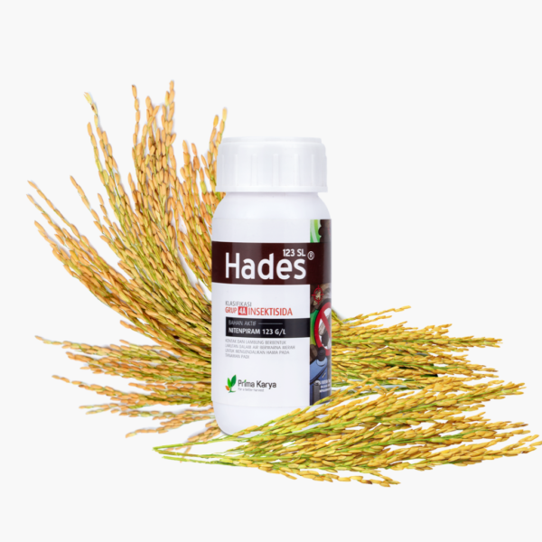 Hades 123 SL