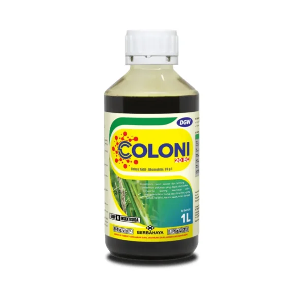 Coloni 20 Ec