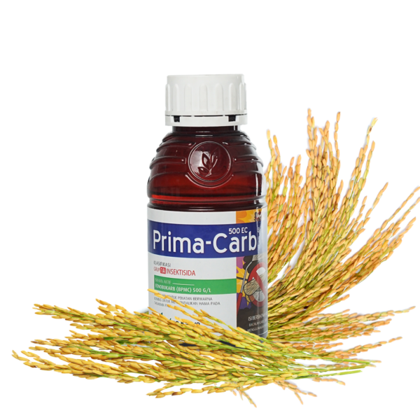 Prima-Carb 500 EC