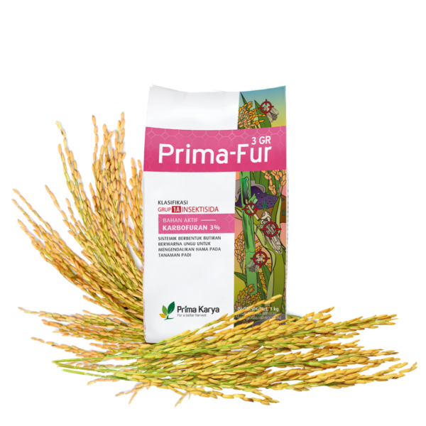 Prima-Fur 3 GR