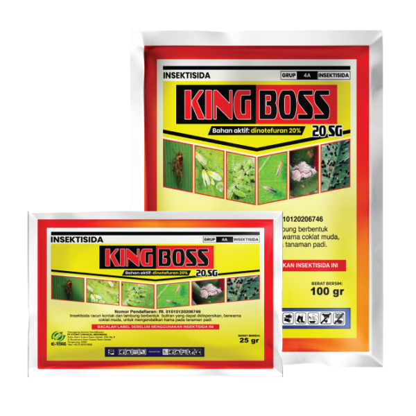 KINGBOSS 20 SG